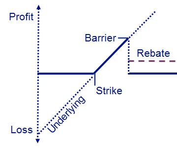 Payment Scenario Capital Protection Note with Barrier