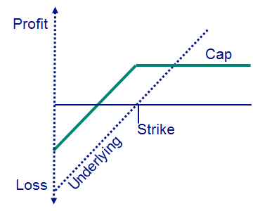 Auszahlungsprofil Reverse Convertibles