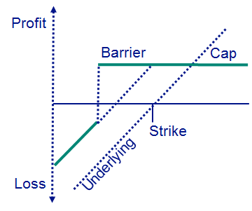 Auszahlungsprofil Barrier Reverse Convertibles